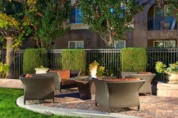 Terrace or Patio