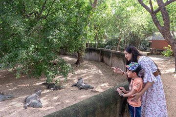 Children's activities