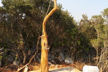 Photo 40
