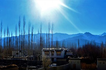 View from property