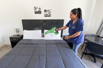 Cleanliness standards