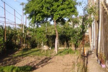 Photo 85