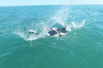 Boating