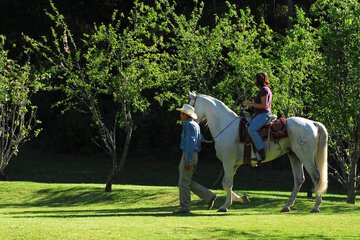 Horseback riding