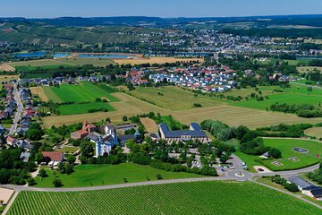 Vineyard