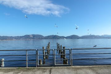 Dock