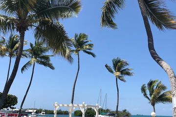 Outdoor wedding area