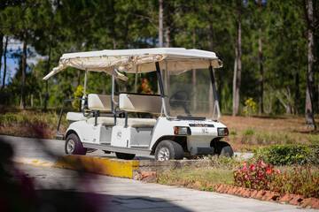 Golf cart