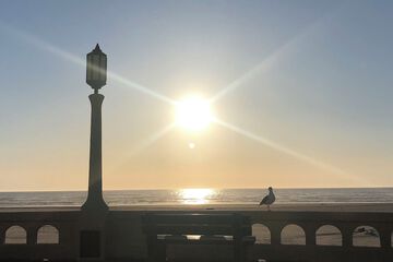 Beach/ocean view