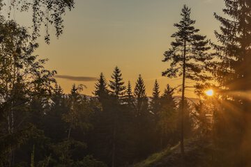 Hiking