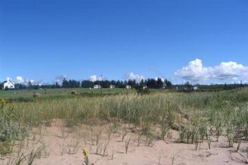 Photo 36