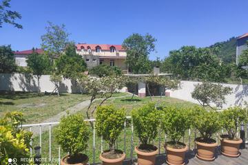 Photo 34