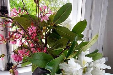 Photo 36