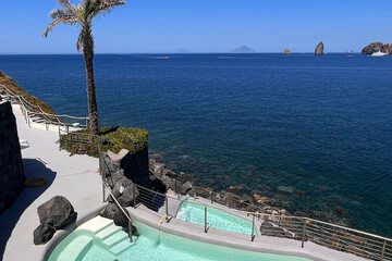 Natural pool
