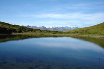 Photo 29