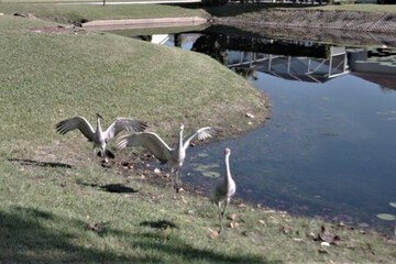 Lake