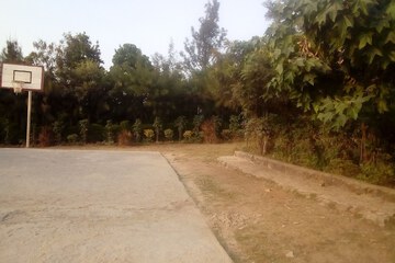 Courtyard view