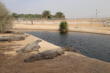 Photo 38