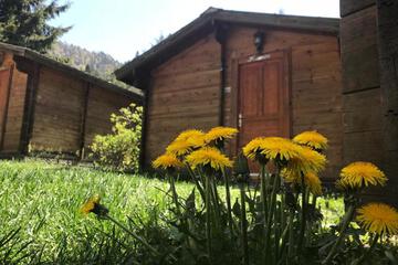 Photo 33