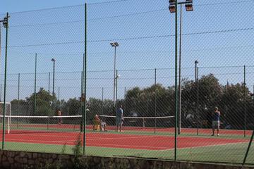 Photo 46