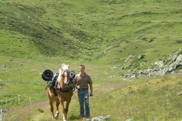 Photo 47