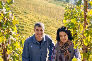 Vineyard