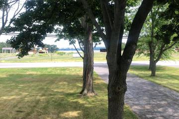 Photo 38