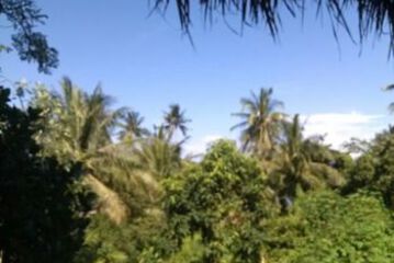 View from Hotel