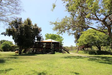 Photo 28