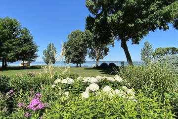 Lake view