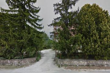 Photo 44