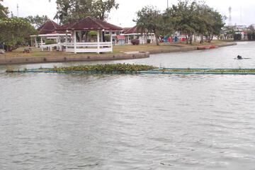 Lake