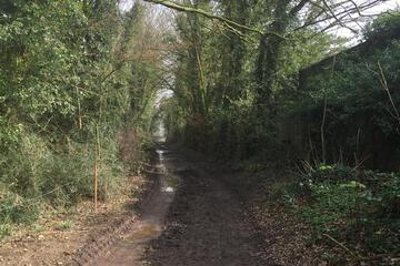 Photo 40