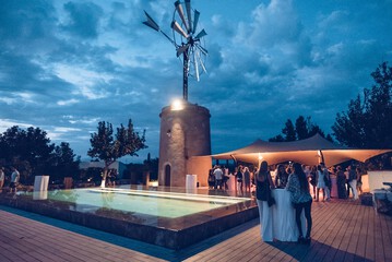 Swim-up bar
