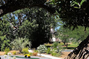 Mini-golf