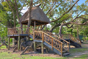 Children's activities