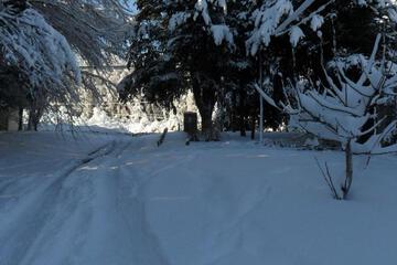 Photo 50