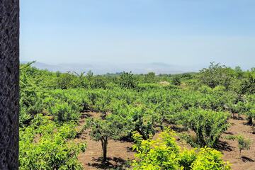 Land view from property