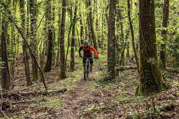 Bicycling