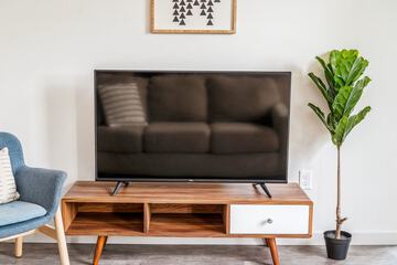 Television