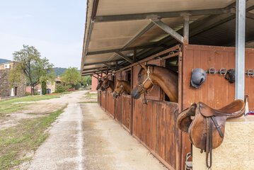 Horseback riding