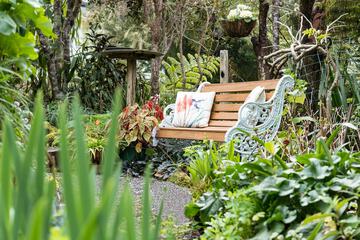 Garden view