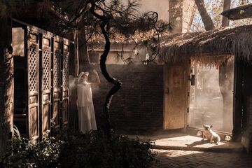 Courtyard