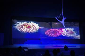 Theater show