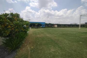 Photo 75