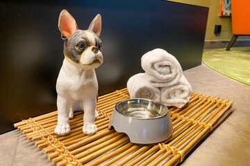 Pet-friendly