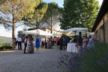 Outdoor wedding area