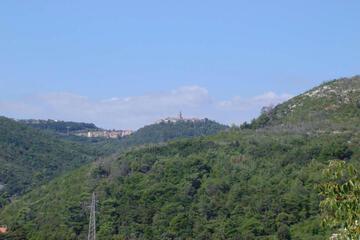 Photo 34