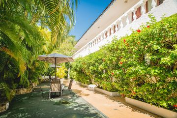 Garden view