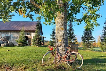 Land view from property